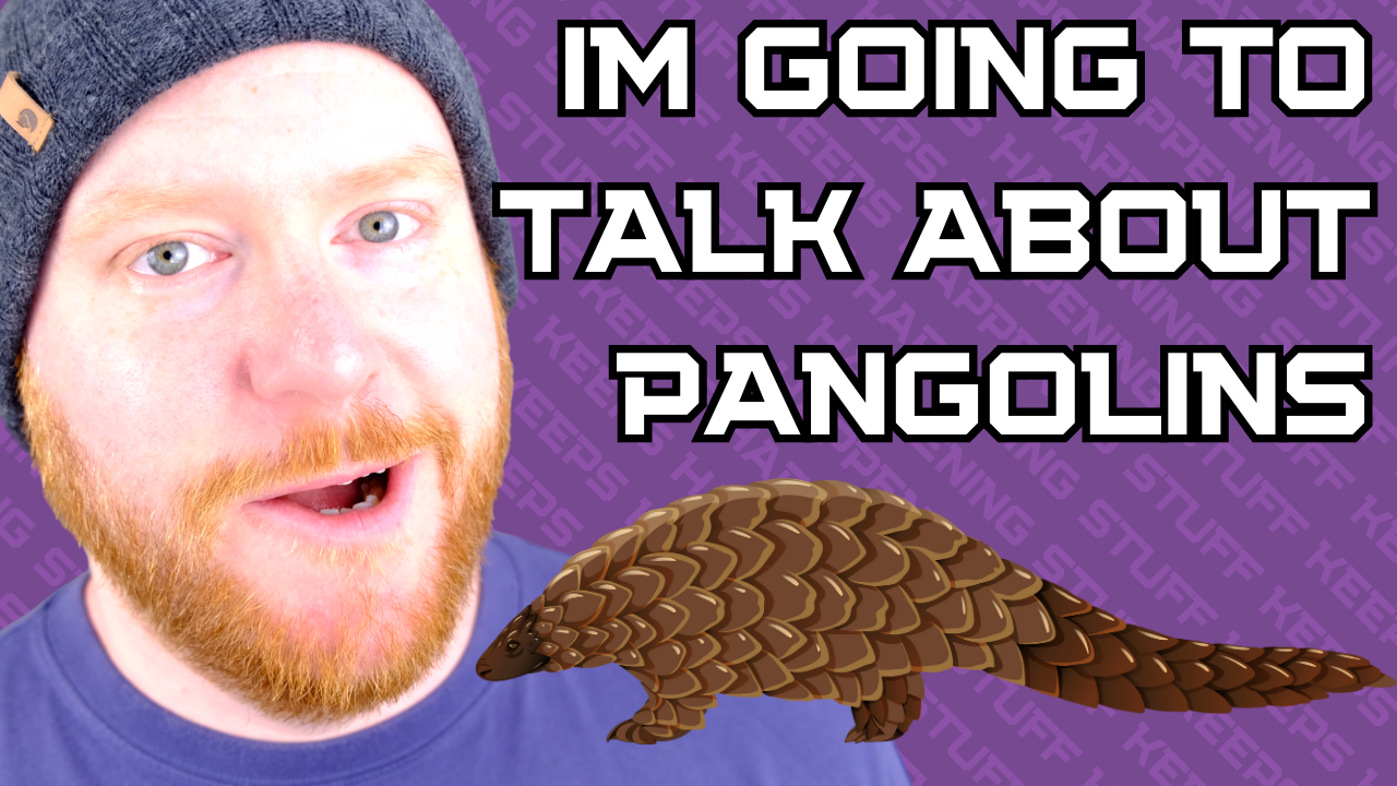 I'm Going To Talk To You About Pangolins Now